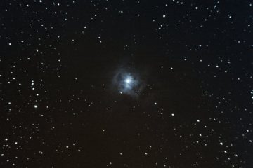 NGC 7023 Iris Nebula