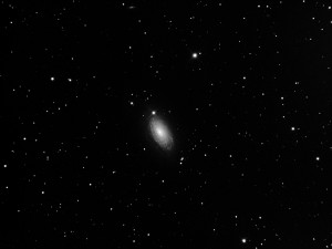 M63, Sunflower Galaxy, 8th Mar 2014. Luminance data only.