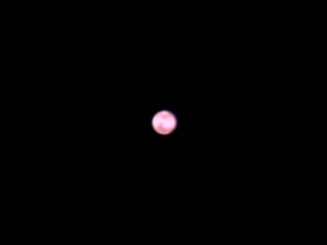 Mars 25th Feb 2012.  North is up.  Showing dark surface feature of Syrtis Major, as well as the north polar ice cap.